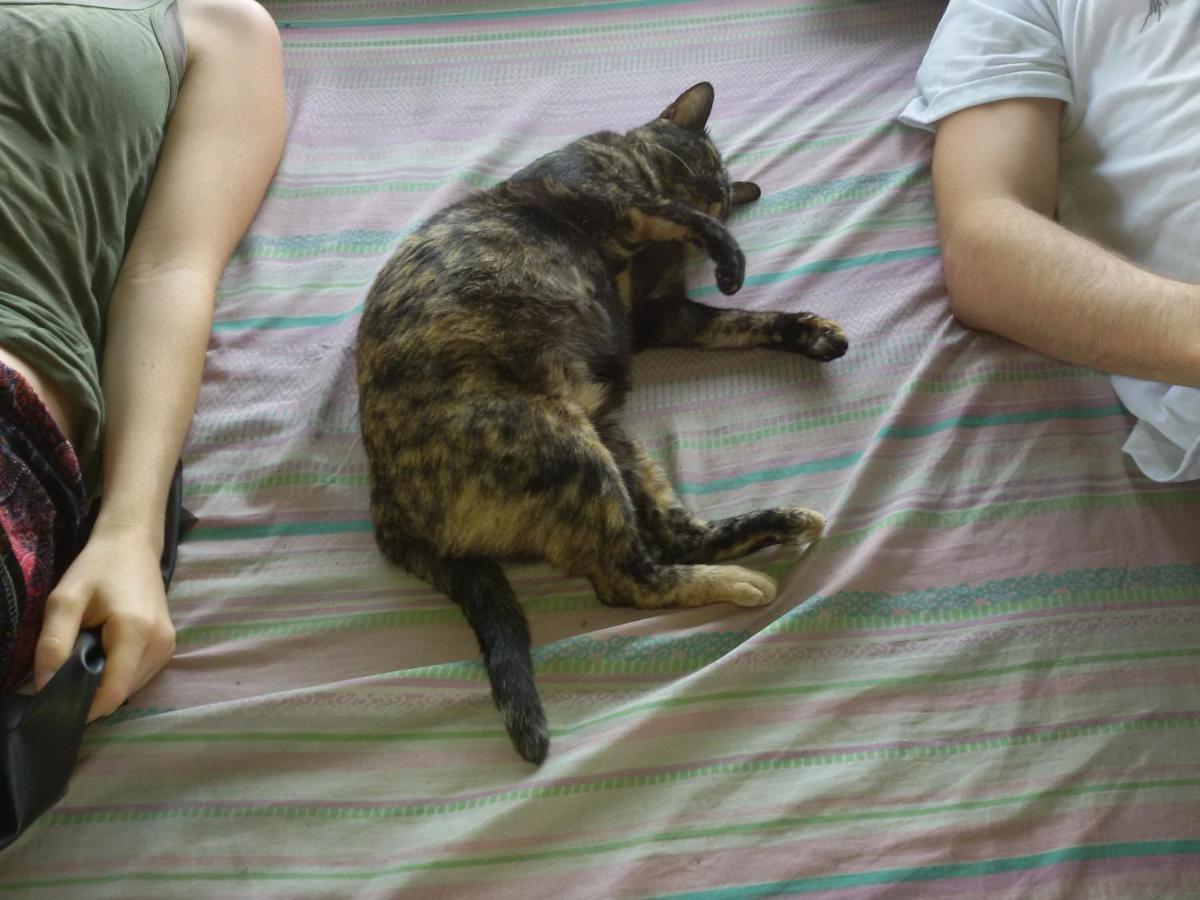 Vida Guesthouse Čiang Mai Exteriér fotografie